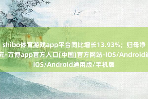 shibo体育游戏app平台同比增长13.93%；归母净利润27.32亿元-万博app官方入口(中国)官方网站-IOS/Android通用版/手机版