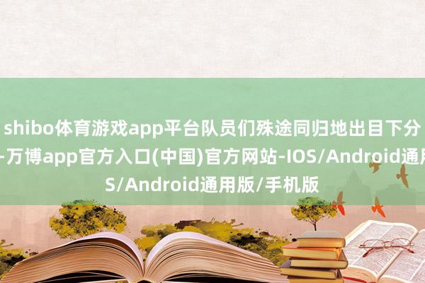 shibo体育游戏app平台队员们殊途同归地出目下分析员的眼前-万博app官方入口(中国)官方网站-IOS/Android通用版/手机版