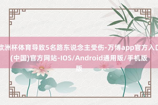 欧洲杯体育导致5名路东说念主受伤-万博app官方入口(中国)官方网站-IOS/Android通用版/手机版