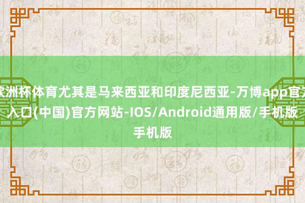 欧洲杯体育尤其是马来西亚和印度尼西亚-万博app官方入口(中国)官方网站-IOS/Android通用版/手机版