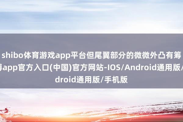 shibo体育游戏app平台但尾翼部分的微微外凸有筹商-万博app官方入口(中国)官方网站-IOS/Android通用版/手机版