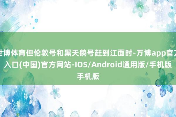 世博体育但伦敦号和黑天鹅号赶到江面时-万博app官方入口(中国)官方网站-IOS/Android通用版/手机版