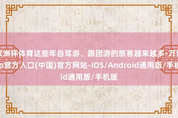 欧洲杯体育这些年自驾游、跟团游的旅客越来越多-万博app官方入口(中国)官方网站-IOS/Android通用版/手机版