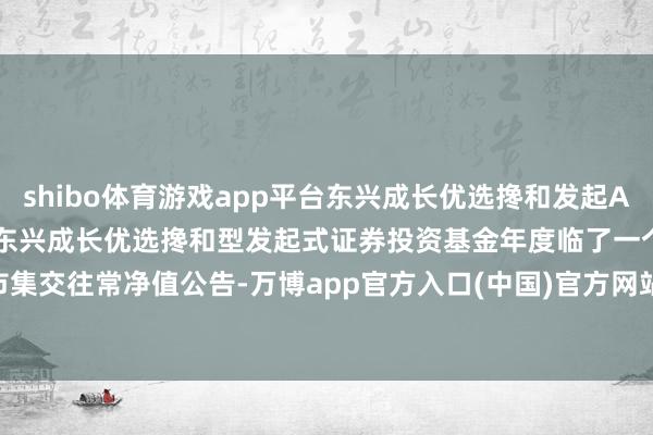 shibo体育游戏app平台东兴成长优选搀和发起A,东兴成长优选搀和发起C: 东兴成长优选搀和型发起式证券投资基金年度临了一个市集交往常净值公告-万博app官方入口(中国)官方网站-IOS/Android通用版/手机版