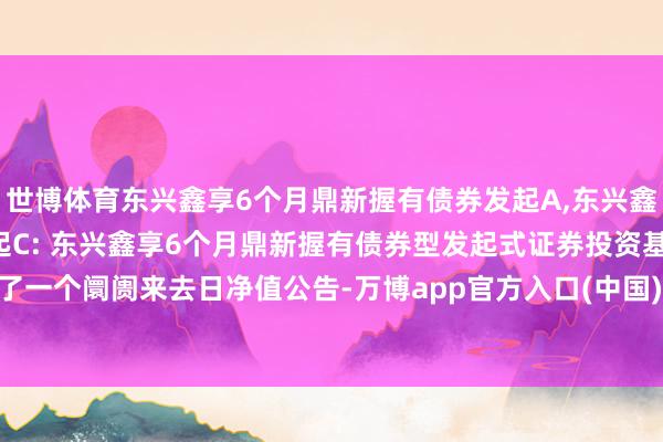 世博体育东兴鑫享6个月鼎新握有债券发起A,东兴鑫享6个月鼎新握有债券发起C: 东兴鑫享6个月鼎新握有债券型发起式证券投资基金年度临了一个阛阓来去日净值公告-万博app官方入口(中国)官方网站-IOS/Android通用版/手机版