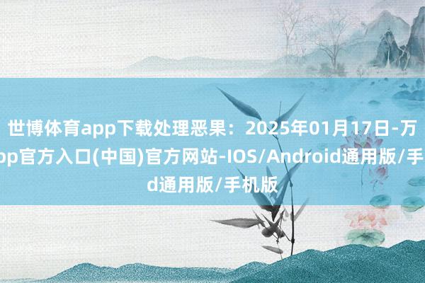 世博体育app下载处理恶果：2025年01月17日-万博app官方入口(中国)官方网站-IOS/Android通用版/手机版