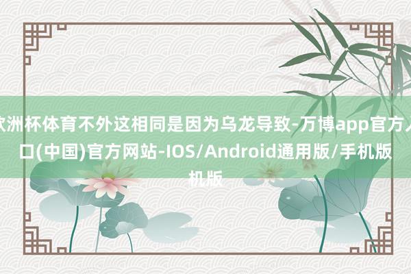 欧洲杯体育不外这相同是因为乌龙导致-万博app官方入口(中国)官方网站-IOS/Android通用版/手机版