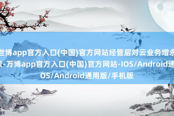 世博app官方入口(中国)官方网站经管层对云业务增永远景表态积极-万博app官方入口(中国)官方网站-IOS/Android通用版/手机版