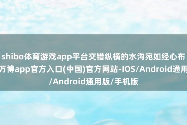shibo体育游戏app平台交错纵横的水沟宛如经心布局的棋局-万博app官方入口(中国)官方网站-IOS/Android通用版/手机版