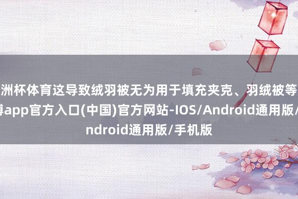 欧洲杯体育这导致绒羽被无为用于填充夹克、羽绒被等成品-万博app官方入口(中国)官方网站-IOS/Android通用版/手机版