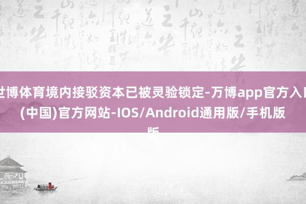 世博体育境内接驳资本已被灵验锁定-万博app官方入口(中国)官方网站-IOS/Android通用版/手机版