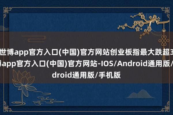 世博app官方入口(中国)官方网站创业板指最大跌超3%-万博app官方入口(中国)官方网站-IOS/Android通用版/手机版