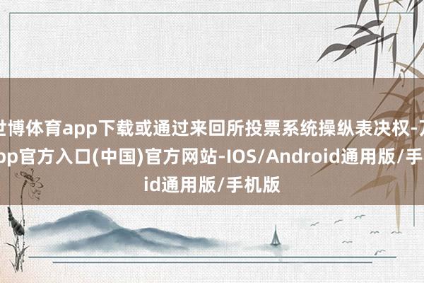 世博体育app下载或通过来回所投票系统操纵表决权-万博app官方入口(中国)官方网站-IOS/Android通用版/手机版