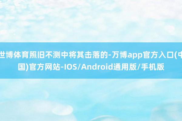 世博体育照旧不测中将其击落的-万博app官方入口(中国)官方网站-IOS/Android通用版/手机版