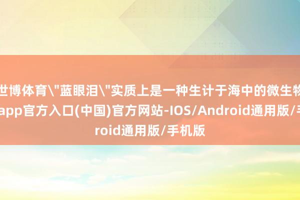 世博体育＂蓝眼泪＂实质上是一种生计于海中的微生物-万博app官方入口(中国)官方网站-IOS/Android通用版/手机版