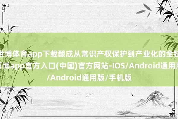 世博体育app下载酿成从常识产权保护到产业化的全链条干事-万博app官方入口(中国)官方网站-IOS/Android通用版/手机版